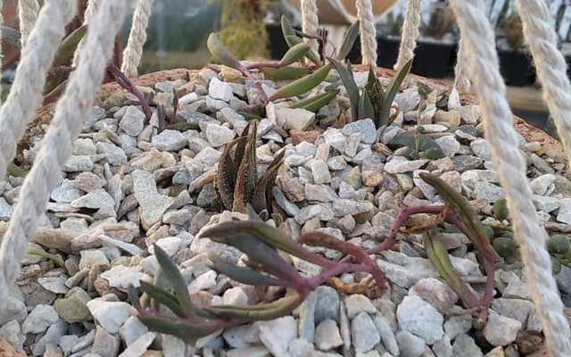 WhatsApp_Image_2021_08_11_at_11.55.47_1__1628843449