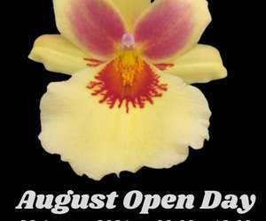 28 August 2021: August Open Day