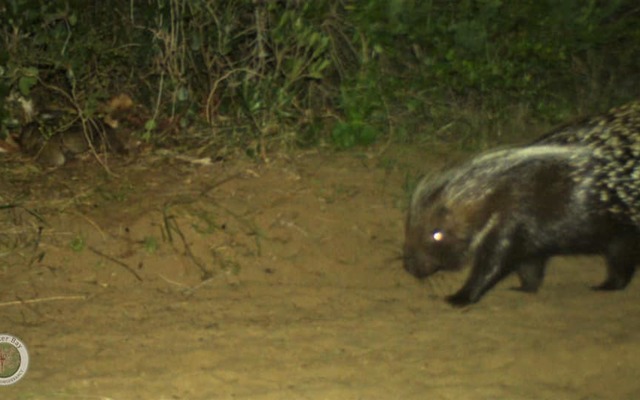 235493906_4266501226764286_406460475757639078_n_1629360674