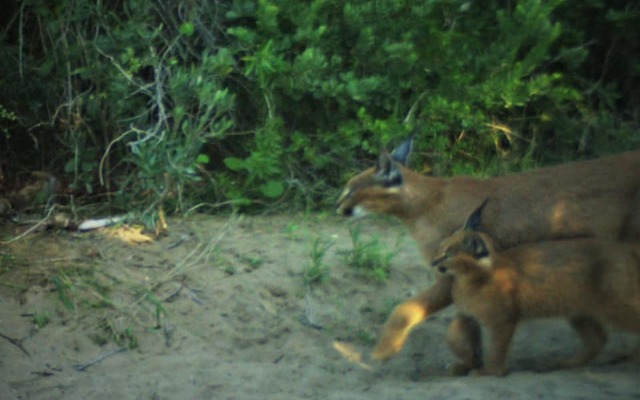 237377181_4266501343430941_1943105268821098141_n_1629360675