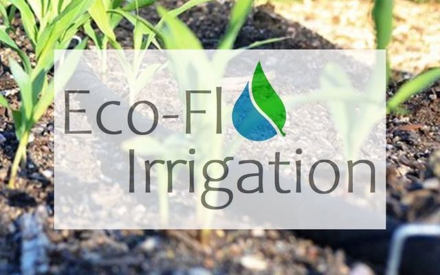 219219490_167351895462245_4661855533065163720_n_1629444015