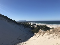 Surf Lessons in Betty's Bay and Pringle Bay