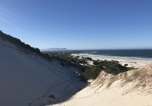 Surf Lessons in Betty's Bay and Pringle Bay