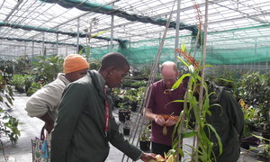 Green Futures, The Eden Project