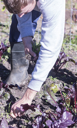 stanford_ngo_the_butterfly_centre_teaching_children_to_be_skilled_1629981637