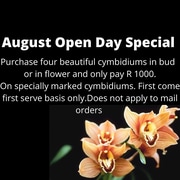 Tomorrow is our August Open Day! 