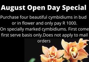 Tomorrow is our August Open Day! 