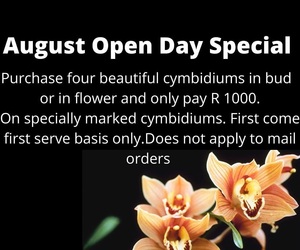 Tomorrow is our August Open Day! 