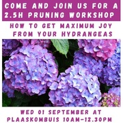 1 September 2021: 2.5 Hour Pruning Workshop