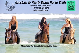 Tripadvisor Travellers’ Choice Award 