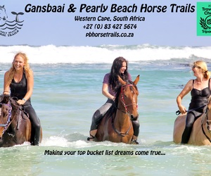 Tripadvisor Travellers’ Choice Award 