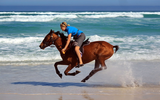 Gansbaai & Pearly Beach Horse Trails