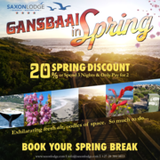 Saxon Lodge Spring Special