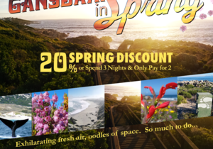 Saxon Lodge Spring Special