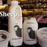 Our local sheep products don't follow the flock! - Dal-Italia Delicatessen - Xplorio™ Hermanus