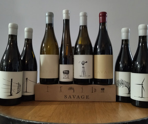 Wine and Co - Savages and Bonfires!