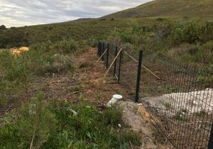 Nature Blended Fence Installation at Phillipskop Mountain Reserve