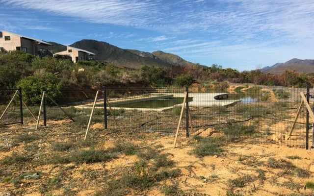 241252638_4326916407387991_4852415343263538000_n_1630601792