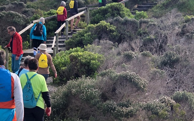 Boardwalk at Charlie van Breda/Arcadia