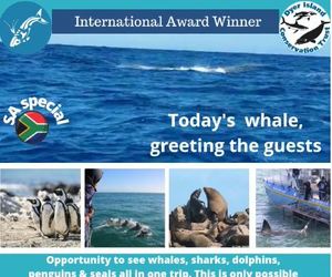 Next Dyer Island Marine Big 5 Tour: 7 September 2021