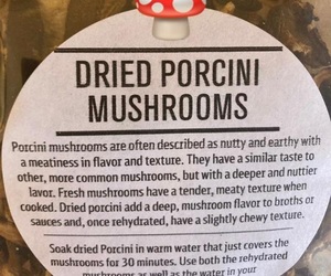 Dried Porcini Mushrooms