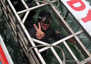 Daily Blog: 14 September 2021 | Shark Cage Diving in South Africa