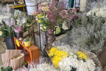 Hermanus_1_1631630201