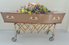 Hermanus_2_1631691742