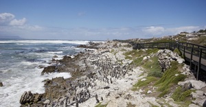 Outdoor Activities in Betty’s Bay