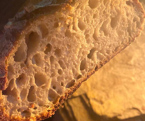 24, 25 & 26 September 2021: Baardskeerdersbos Art Route