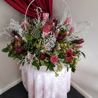 Nashca Stanford - Xplorio™ Stanford