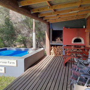 outside_porch_with_pool_pizza_oven_1598353937_1632382741