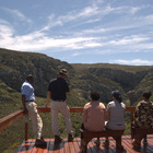 Vulture Viewing at De Hoop - De Hoop Collection - Xplorio™ Bredasdorp Vulture Viewing at De Hoop - De Hoop Collection - Xplorio™ Bredasdorp