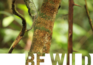 Be Wild, Be Adventurous - Gansbaai Weekend Inspiration