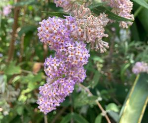 Lente by Beloftebos Farm Cottages