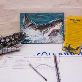 Visitor Notes - White Shark Projects - Xplorio™ Gansbaai