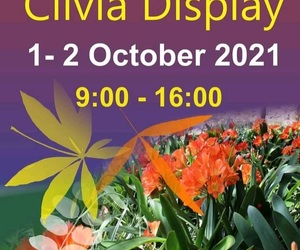 1 - 2 October 2021: Clivia Display