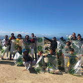 Beach Clean-up - White Shark Projects - Xplorio™ Gansbaai