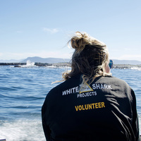 Volunteer - White Shark Projects - Xplorio™ Gansbaai
