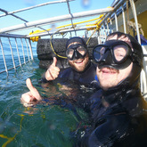 Shark Cage Diving Experience - White Shark Projects - Xplorio™ Gansbaai