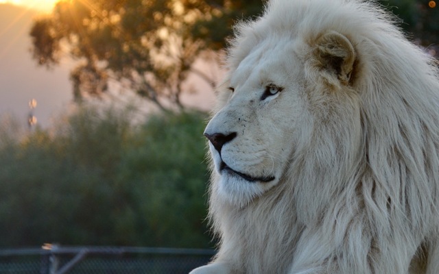 Bilde_11.07.2017_16.44.33_1633000986