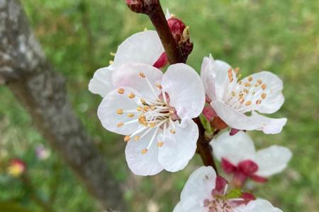 WhatsApp_Image_2021_09_30_at_15.27.32_1__1633065556