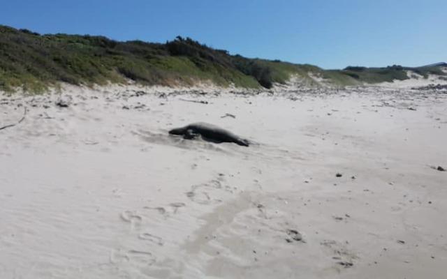 243669905_4690637694321049_4882709931735438313_n_1633334514 243669905_4690637694321049_4882709931735438313_n_1633334514