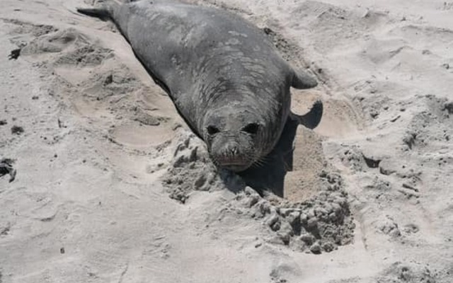 243766238_4690637884321030_4615480184011864245_n_1633334514 243766238_4690637884321030_4615480184011864245_n_1633334514