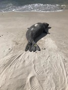 PLEASE KEEP YOUR DISTANCE