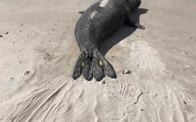 244167416_4690637697654382_9115998938724763724_n_1633334513 244167416_4690637697654382_9115998938724763724_n_1633334513