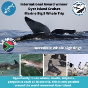 Next Dyer Island Marine Big 5 Tour: 5 October 2021