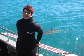 Daily Blog: 05 October 2021 | Shark Cage Diving in South Africa