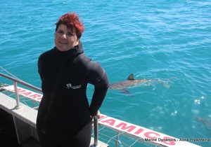 Daily Blog: 05 October 2021 | Shark Cage Diving in South Africa