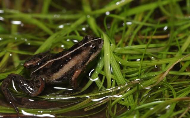 244097576_1977500185748600_8531694528632291346_n_1633506002 244097576_1977500185748600_8531694528632291346_n_1633506002